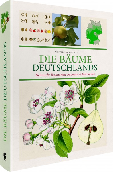 Die Bäume Deutschlands - Heimische Baumarten erkennen & bestimmen; ISBN: 978-3-96849-032-8